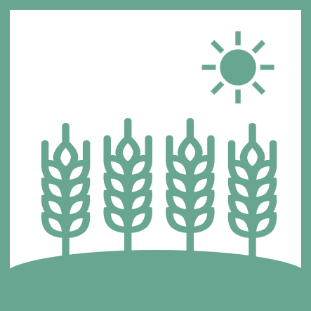 Food & Agriculture Icon